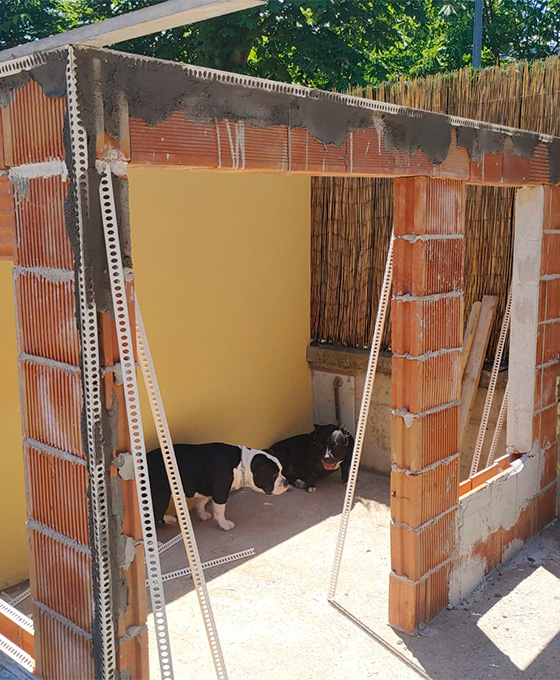 Construcción de Chabolas en Vitoria