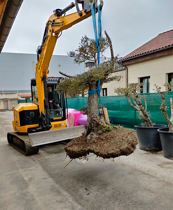 Levantamiento del suelo para reformas en Vitoria